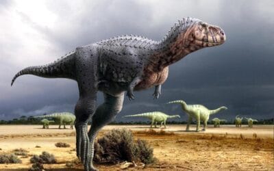 El Congreso ‘Las lenguas romances y los dinosaurios. Una revolución en la ciencia’ mantiene abierta hasta el 31 de enero la inscripción bonificada y presentación de resúmenes